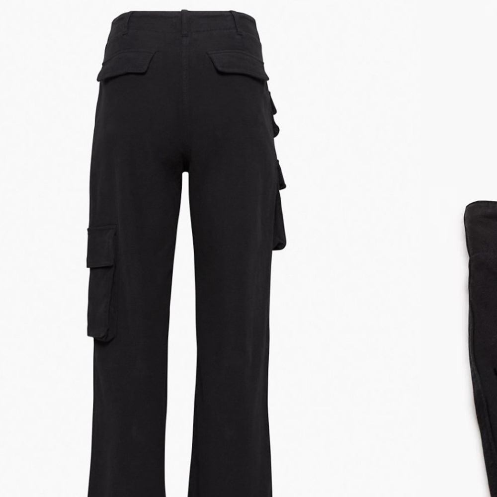 Aritzia picture pants
